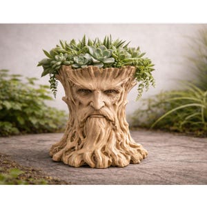 Puede incluir: Una maceta beige con forma de tronco de árbol con una cara tallada, llena de suculentas y plantas verdes. La cara tiene una larga barba y una ceja fruncida. La maceta tiene un aspecto detallado y texturizado. Se coloca en un camino de piedra, con vegetación al fondo.