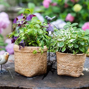 Straw Textured Concrete Planter Mold: DIY Cement Flower Pot, Balcony Garden Decor