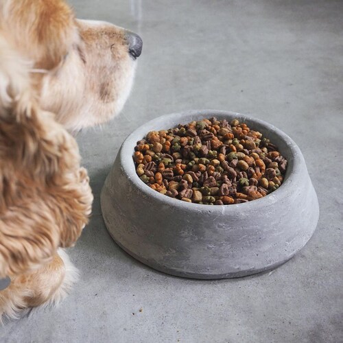How To Create Your Own Dog Food