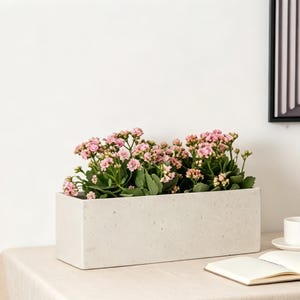 Op de afbeelding: Een rechthoekige, lichtgekleurde plantenbak gevuld met roze bloeiende planten. De plantenbak staat op een tafel met een neutraal gekleurd tafelkleed. Een witte kop en schotel en een open notitieboek liggen ook op de tafel.