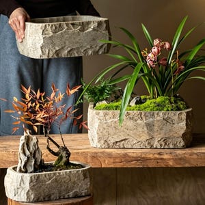 May include: Stone-textured rectangular planters, one held by a person, and two others on a wooden surface. One planter contains a bonsai tree with orange leaves and a rock formation. Another holds green plants and pink flowers.