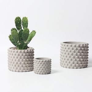 May include: Three gray concrete planters with a textured, studded surface. The largest planter is holding a green cactus plant.