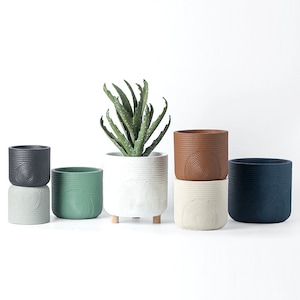 Könnte beinhalten: Sechs runde Pflanztöpfe mit einem strukturierten, konzentrischen Kreisdesign. Die Töpfe sind in verschiedenen Farben, darunter Schwarz, Grün, Weiß, Braun und Beige. Ein Topf hat eine kleine Pflanze mit grünen Blättern.