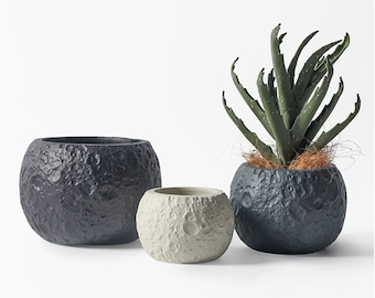 Vaso Rotondo Per Piante Grasse In Plastica The HC Companies - Grigio Cemento - 20cm Con Foro Di Scarico