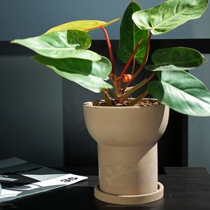 Nordic Cement Planter Silicone Mold: DIY Concrete Flower Pot
