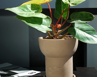 Nordic Cement Planter Silicone Mold: DIY Concrete Flower Pot
