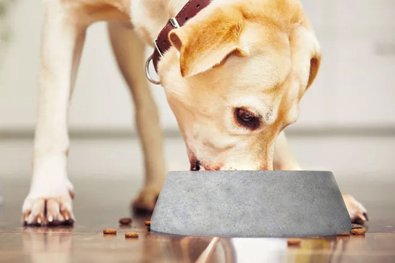 Homemade Dog Bowl Mold Concrete Silicone Mold Cute Dog Food Etsy