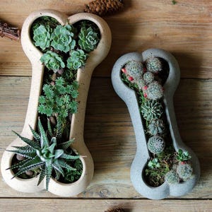 Molde de silicona con forma de hueso de dibujos animados para macetas de hormigón, molde para macetas de cemento, maceta duradera con temática de mascotas, decoración de jardín con forma de hueso de perro.