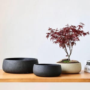 May include: Three round, textured planters in varying sizes. Two are black, and one is beige, holding a small tree with red leaves. The planters sit on a wooden surface against a white background.