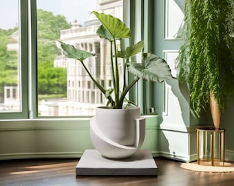 Pode incluir: Um vaso de cerâmica branco com um design geométrico, apresentando uma grande planta verde de folhas. O vaso está sobre um pedestal quadrado branco e fica sobre um piso de madeira.