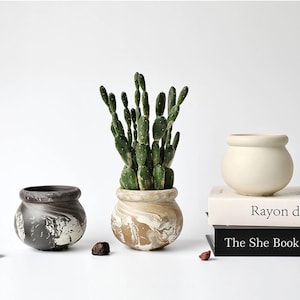 May include: Three ceramic plant pots in neutral tones. One contains a green cactus. The other two pots are empty. One pot has a marbled black and white design, and the other is cream-coloured. Books are in the background.