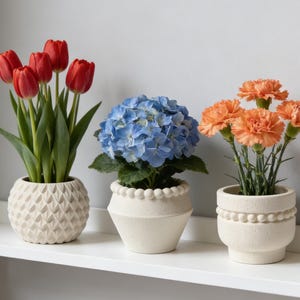 Puede incluir: Tres plantas en macetas sobre una estantería blanca. Tulipanes rojos en una maceta texturizada, una hortensia azul en una maceta con borde de cuentas y claveles naranjas en una maceta similar. Las macetas son de color crema.