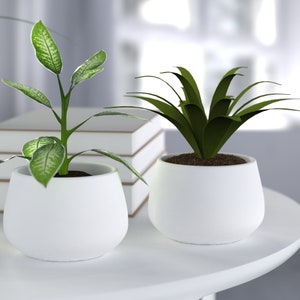 May include: Two potted plants, one with green and white leaves and the other with dark green leaves, in white ceramic pots on a white table.