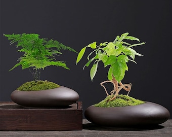 Oval Egg Concrete Planter Molds: DIY Bonsai Pot Silicone Molds