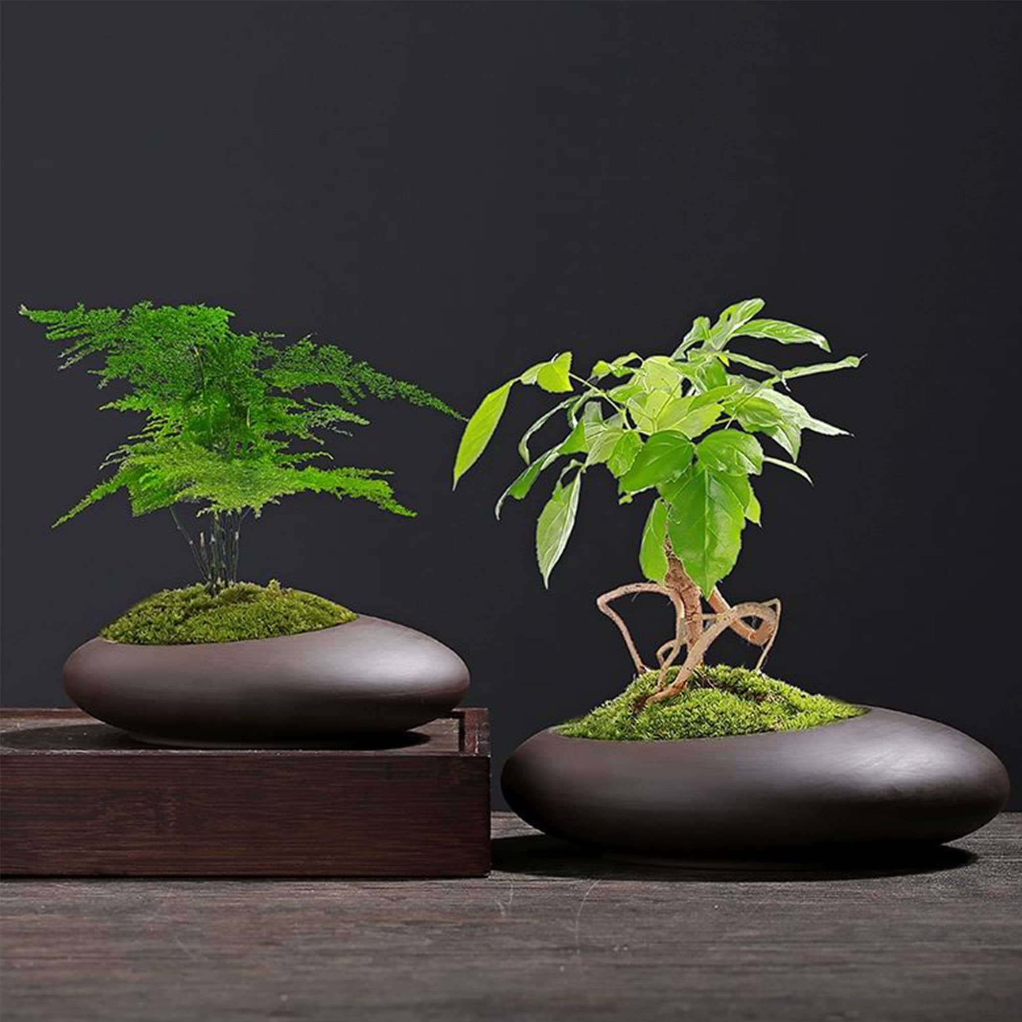 盆栽鉢　植木鉢　水盤　陶芸　園芸　盆栽 盆栽鉢 植木鉢 小品盆栽鉢 大品盆栽鉢（四方植木鉢 多肉植物鉢