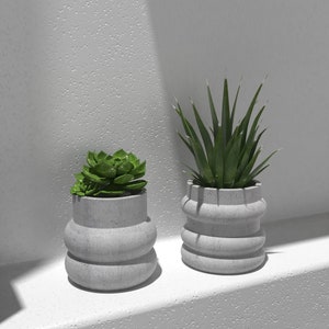 May include: Two gray concrete planters with a textured surface. One planter holds a green succulent plant and the other holds a green plant with long, thin leaves.