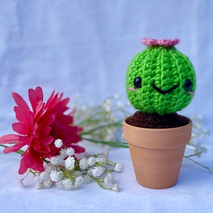 Crochet Cactus in Pot, Handmade Acrylic Yarn Decor