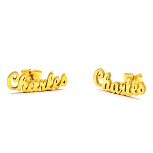 May include: A pair of gold-tone earrings with the name "Charles" spelled out in a cursive font.