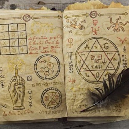 THE BOOK of SOYGA 16th Century Most Mysterious Antique Coded Etsy