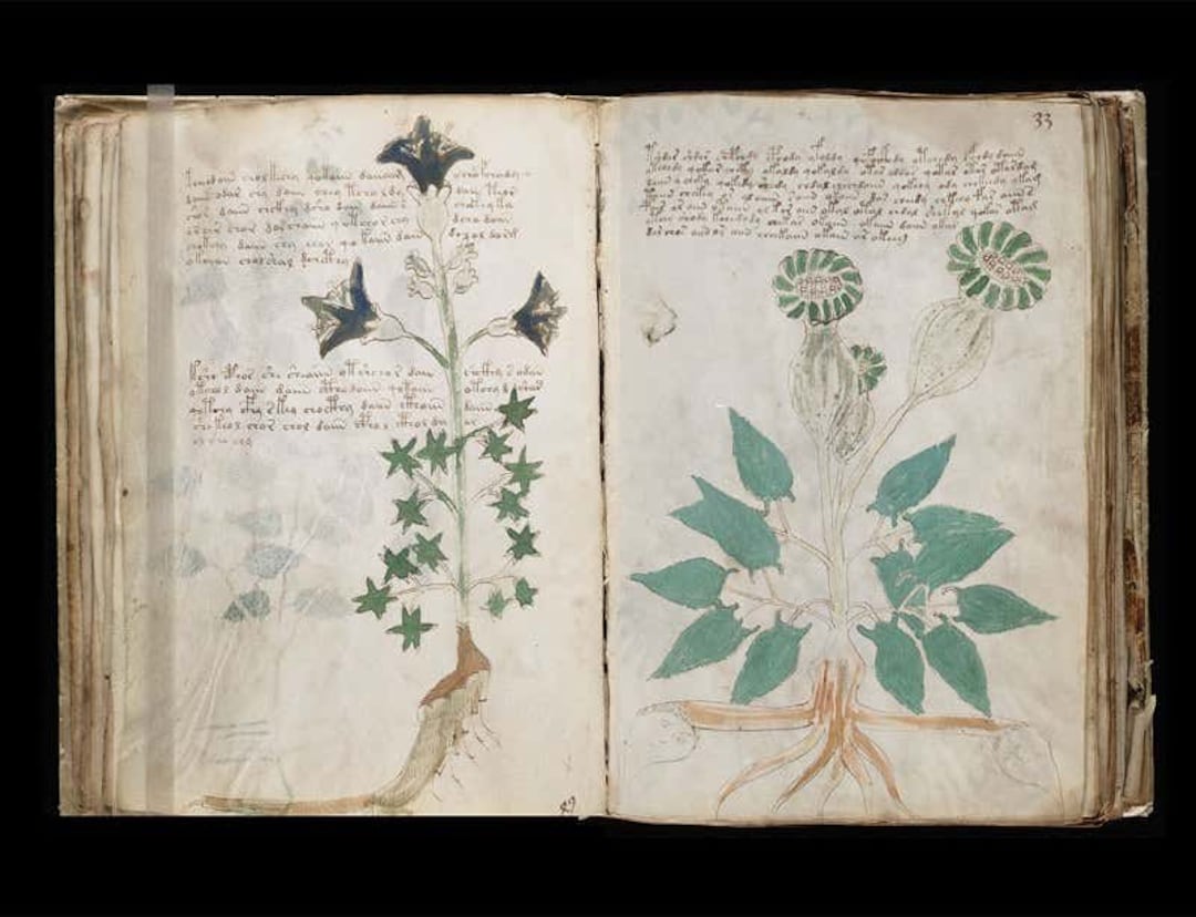 ヴォイニッチ手稿　the Voynich Manuscript The Voynich Manuscript revealed: five things you probably