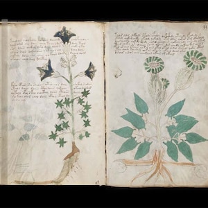 THE VOYNICH MANUSCRIPT 15th Century , Undecipherable Language, Most Mysterious Old Book Alchemy, Wicca Book Of Shadows, Spells Magick Bible