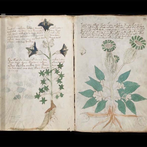 THE VOYNICH MANUSCRIPT 15th Century , Undecipherable Language, Most Mysterious Old Book Alchemy, Wicca Book Of Shadows, Spells Magick Bible