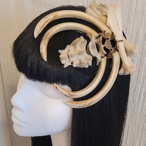 May include: A white bone hair comb with a curved design. The comb is made of natural bone and has a rustic look.