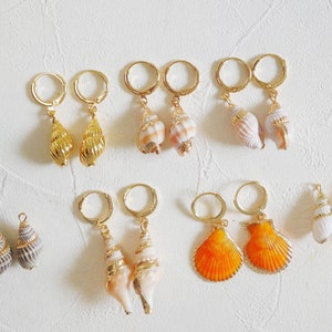 Puede incluir: Una colección de pendientes de concha con aros dorados. Los pendientes presentan varios diseños de conchas, incluyendo espirales, caracolas y conchas de vieira, en tonos dorados, blancos, naranjas y marrones. Los pendientes se exhiben sobre una superficie blanca.