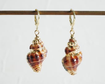 Shell hoop earrings, Sea shell earrings, beach earrings, boho earrings, natural shell earrings, shell earrings gold plated, beach jewelry