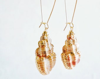 Shell hoop earrings, Sea shell earrings, beach earrings, boho earrings, natural shell earrings, shell earrings gold plated, beach jewelry