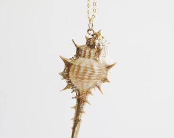 Collana di conchiglie in oro, collana di conchiglie marine, collana da spiaggia, collana boho, collana di conchiglie naturali, gioielli da spiaggia, collana di conchiglie vere