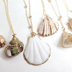 Shell necklace gold, Sea shell necklace, beach necklace, boho necklace, natural shell necklace, beach jewelry, Real shell necklace image 1