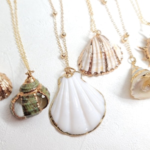 Shell necklace gold, Sea shell necklace, beach necklace, boho necklace, natural shell necklace, beach jewelry, Real shell necklace