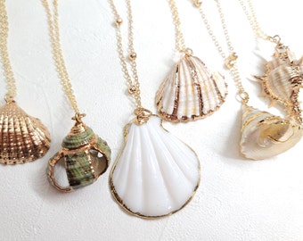 Shell necklace gold, Sea shell necklace, beach necklace, boho necklace, natural shell necklace, beach jewelry, Real shell necklace