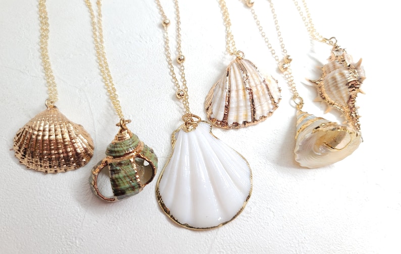 Shell necklace gold, Sea shell necklace, beach necklace, boho necklace, natural shell necklace, beach jewelry, Real shell necklace image 1