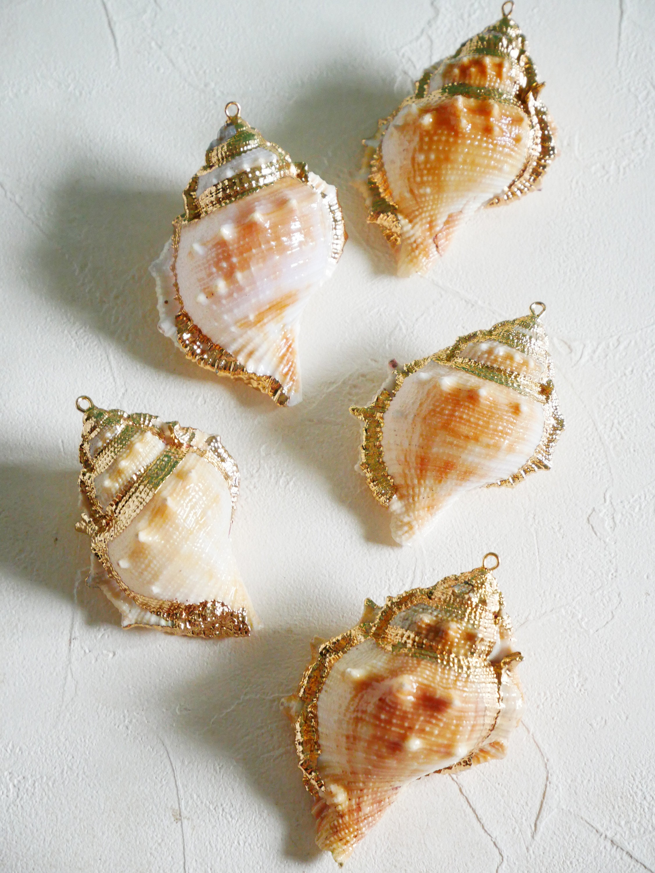Seasshell Accessory Shell Keychain, Natural Seashell, Ocean Gift, Ocean Accessory, Beach ...