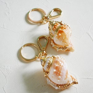 Shell keychain, natural seashell, ocean gift, ocean accessory, beach wedding, beach gift, shell accessory, gift for her, gold shell