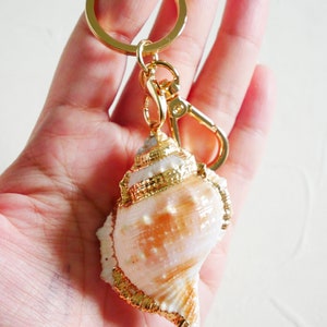 May include: A gold-coloured key chain with a large seashell charm. The seashell is white with brown and orange accents and has a gold-coloured trim.