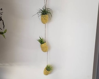 Air Plant Hanging Holder, Crochet Air Plant Hanger, air plant holder, Air plant pods, air plant wall holder, Yellow air plant hanger