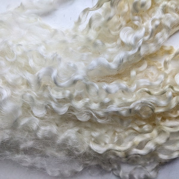 Mèches de laine Teeswater, blanc naturel, lavées, 25 grammes (0,88 oz)