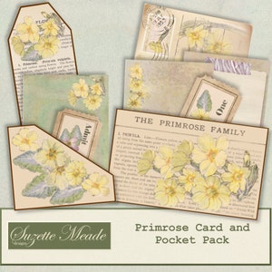 Cartão Primrose e Pacote de Bolso