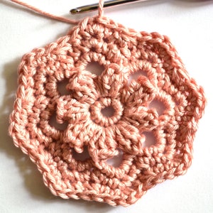 May include: A pink crocheted flower motif with a six-pointed star shape.