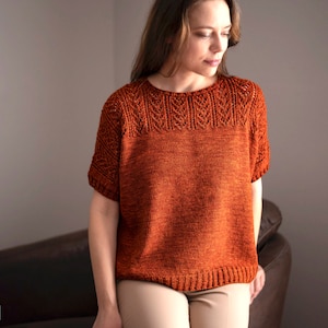May include: A rust-colored knitted top with a lace pattern around the neckline and short sleeves.