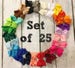 10% OFF!! 5-inch bows - Set of 25- Bow Clips, Alligator Clips, Girl Bows, Cheap Bows, Baby Bows, Dollar Bows, Little Girl Bows, Hair Bows 