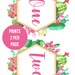 Cactus Table Numbers, Succulent Printable, Downloadable File ...