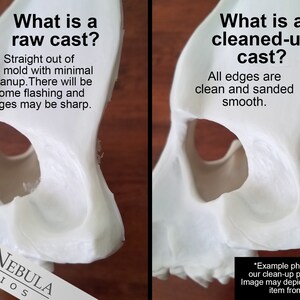 May include: Close-up of two white resin casts, one with rough edges and the other with smooth edges. The text "What is a raw cast?" and "What is a cleaned-up cast?" is displayed above each cast. The text "Straight out of the mould with minimal cleanup. There will be some flashing and edges may be sharp." is displayed below the first cast. The text "All edges are clean and sanded smooth." is displayed below the second cast. The text "RED NEBULA STUDIOS" is displayed below the first cast. The text "*Example photo showing our clean-up process only. Image may depict a different item from this listing." is displayed below the second cast.