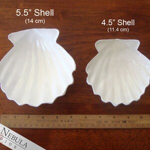May include: Two white ceramic seashell-shaped dishes, one 5.5 inches (14 cm) and the other 4.5 inches (11.4 cm) in diameter, on a wooden surface.