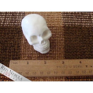 May include: A white ceramic skull measuring approximately 2 inches in length. The skull is detailed with eye sockets, a nose, and a mouth.