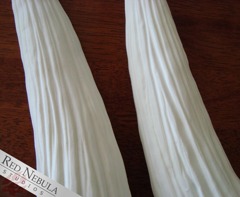May include: Two white, smooth, curved horns with a textured surface. The horns are displayed on a wooden surface.