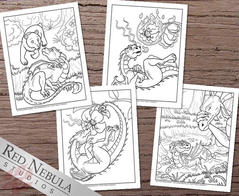 May include: Four black and white coloring pages featuring dragons in various scenes. One page shows a dragon interacting with a bear, another shows a dragon breathing fire, another shows a dragon curled up around a flower, and the last page shows a dragon swimming in a pond.